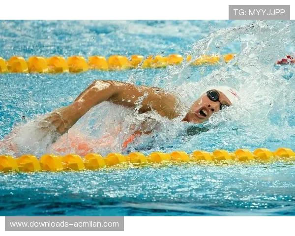 中国短池游泳世锦赛落地北京，带动冬季水上运动热度